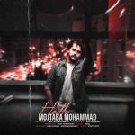 mojtaba mohammad halle 2023 11 07 22 59