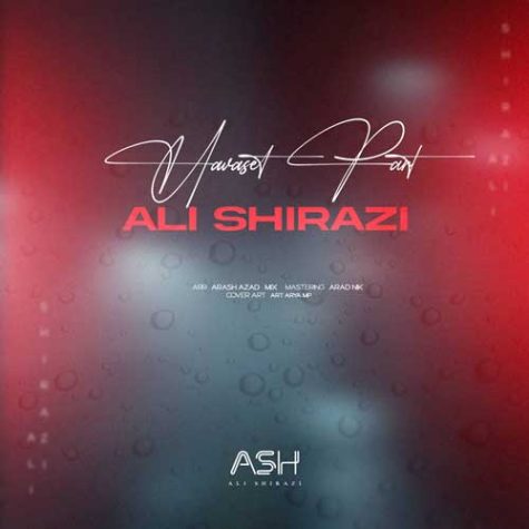 ali shirazi havas part