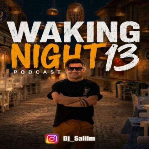 DJ Salim - Waking Night 13 (Remix) دانلود ریمیکس دیجی سلیم پادکست واکینگ نایت 13