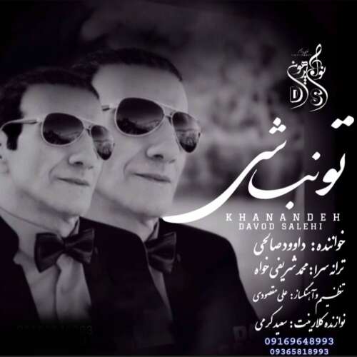 دانلود آهنگ داوود صالحي تو نباشي