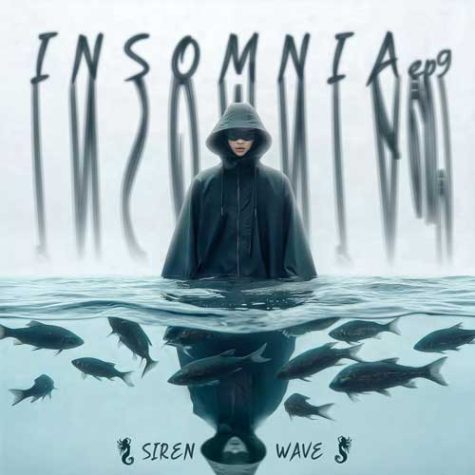 دانلود ریمیکس Siren Wave Insomnia 09