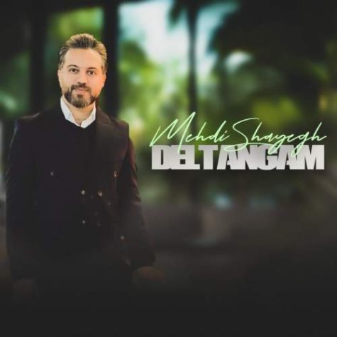 Mehdi Shayegh Deltangam