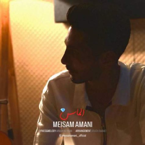 Meisam Amani Almas