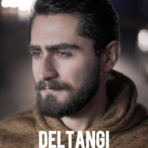 Sina Tavasoli Deltangi